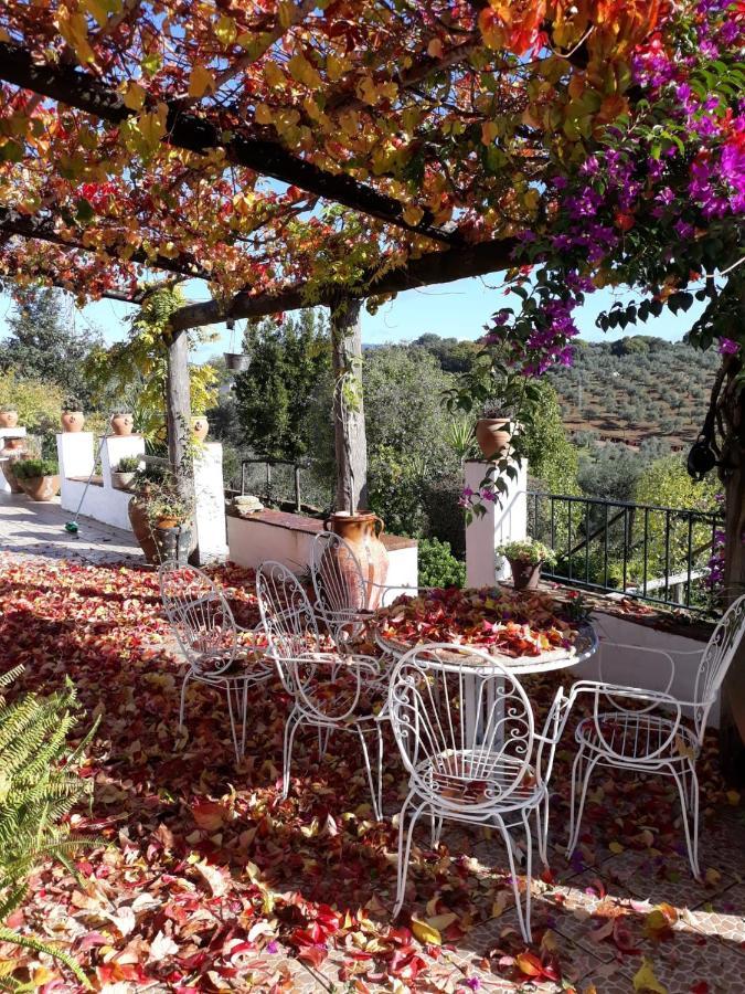 Villa Botero Constantina Exterior photo